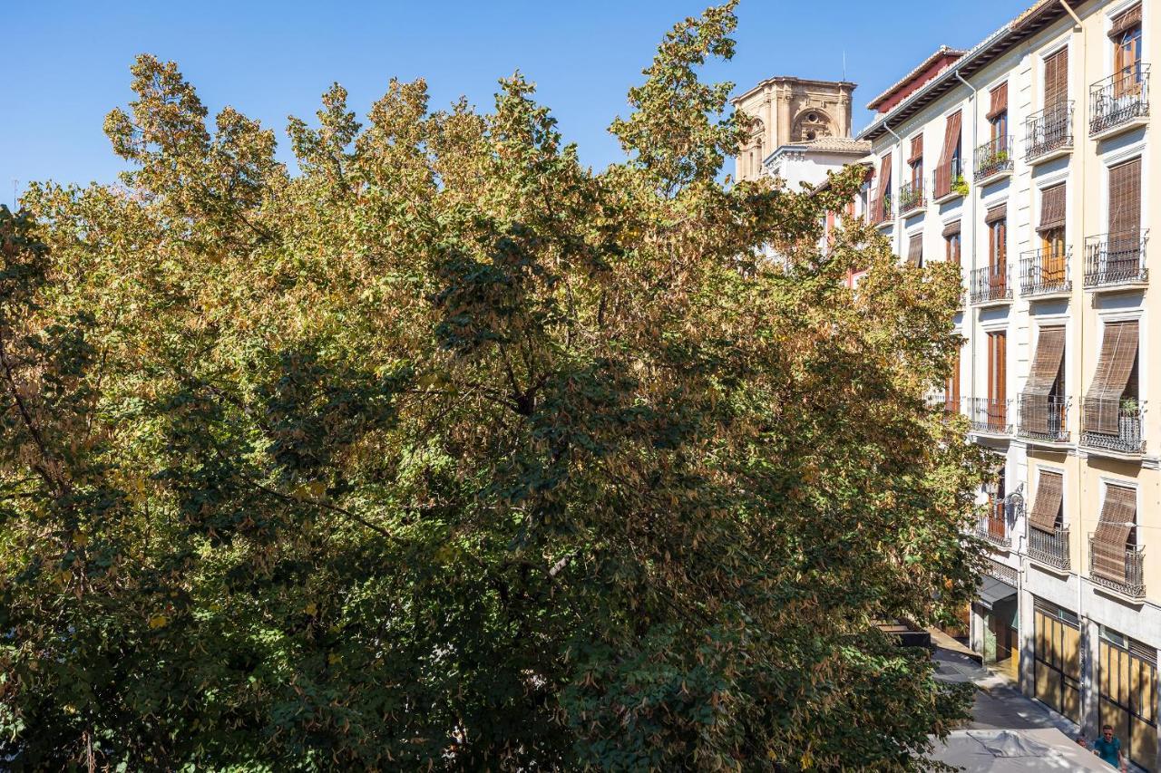 Ferienwohnung Dreaming Bib Rambla - Free Parking Granada Exterior foto